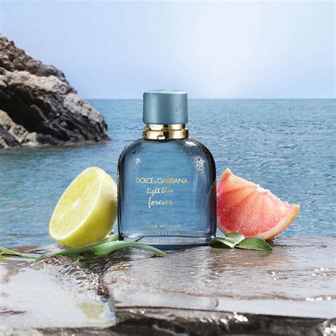 dolce gabbana pour homme light blue|light blue pour homme fragrantica.